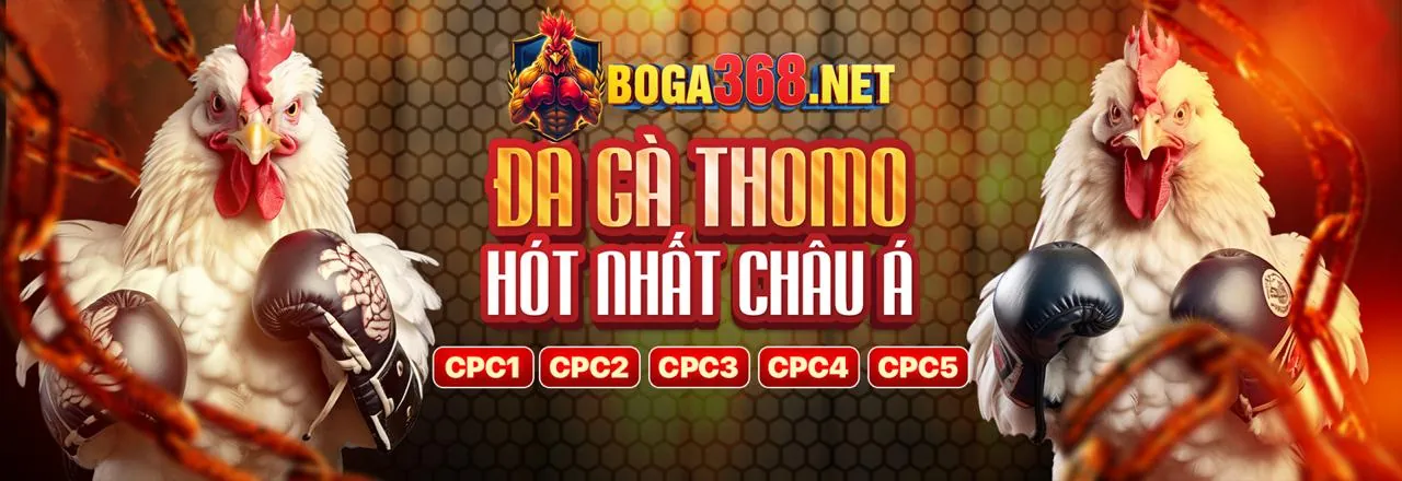Đá gà và Xổ số hi88vip1 code